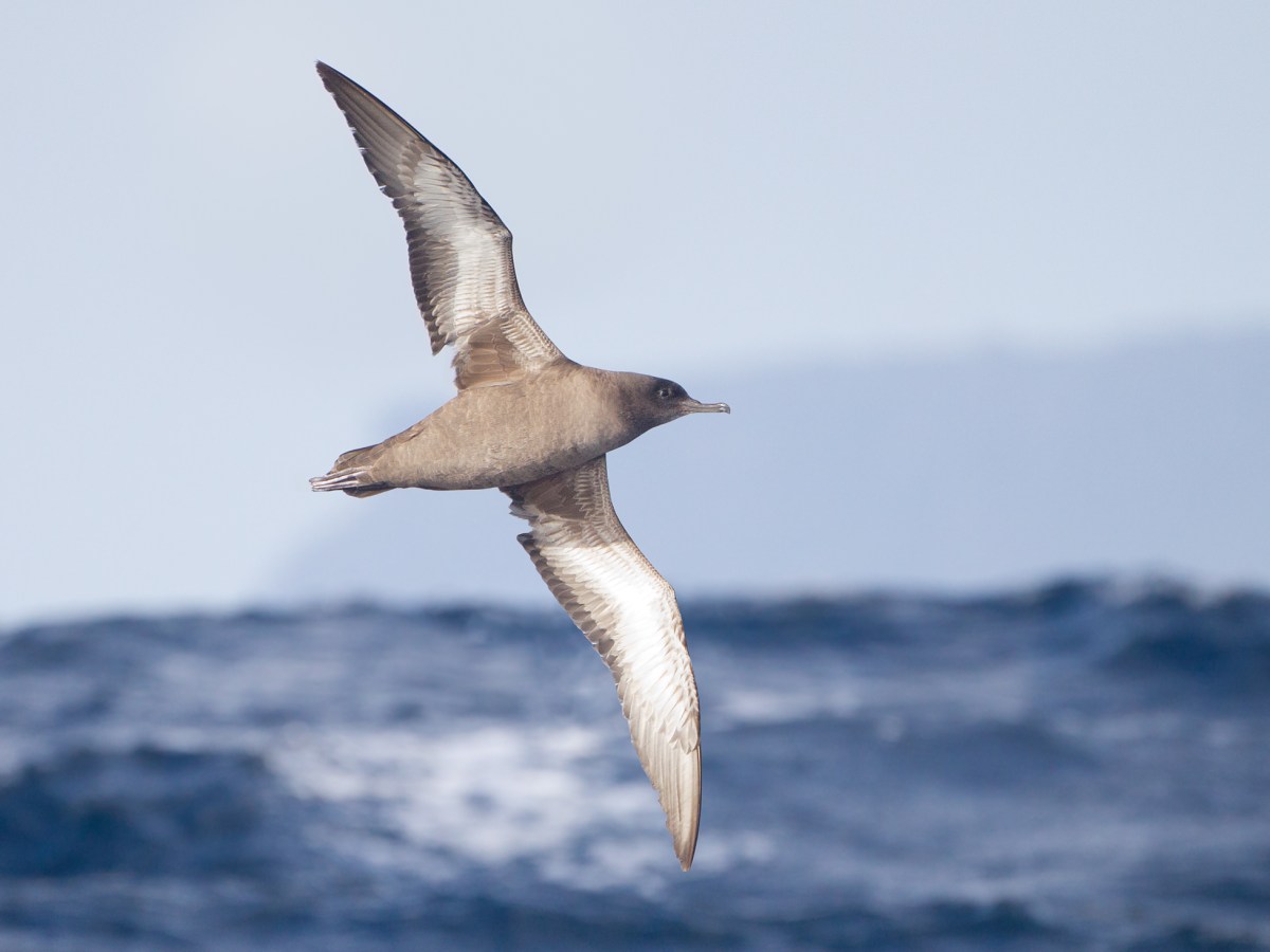 Decolonising knowledge 2