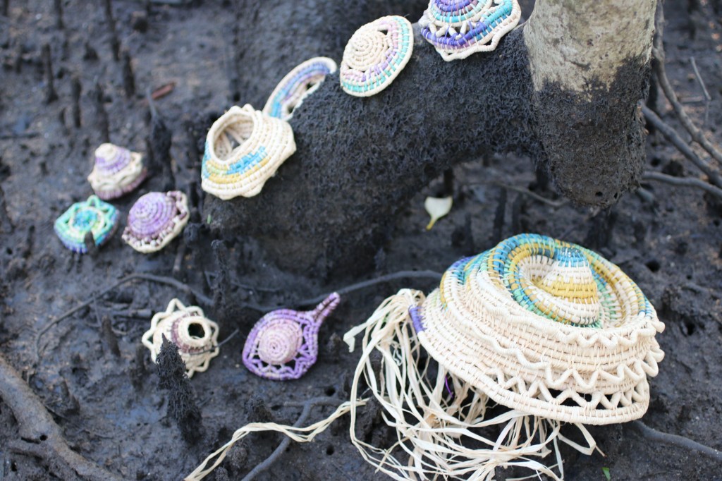 Woven shell forms in situ in the mangrove forest in Ningi